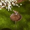 ELM LEAF WITH BIRD BIRDBATH