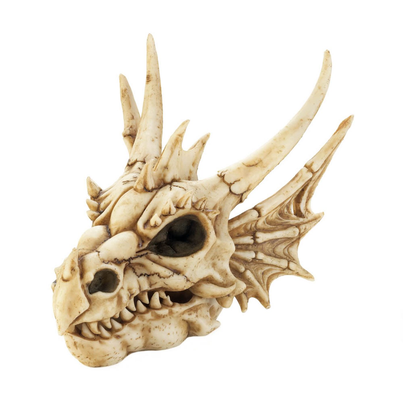 DRAGON SKULL BOX